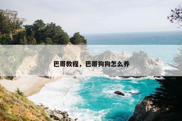 巴哥教程，巴哥狗狗怎么养