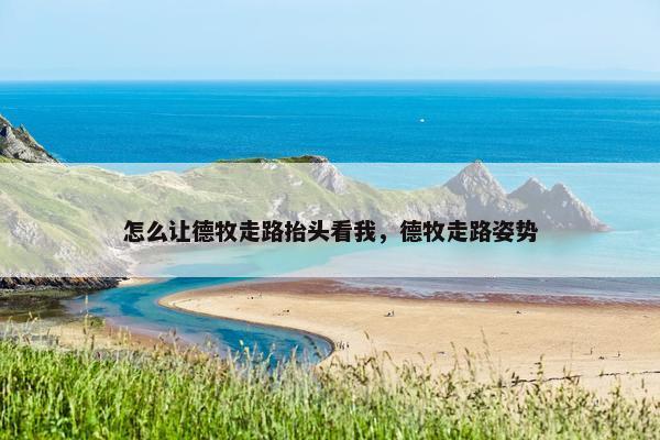 怎么让德牧走路抬头看我，德牧走路姿势