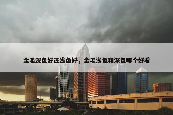 金毛深色好还浅色好，金毛浅色和深色哪个好看