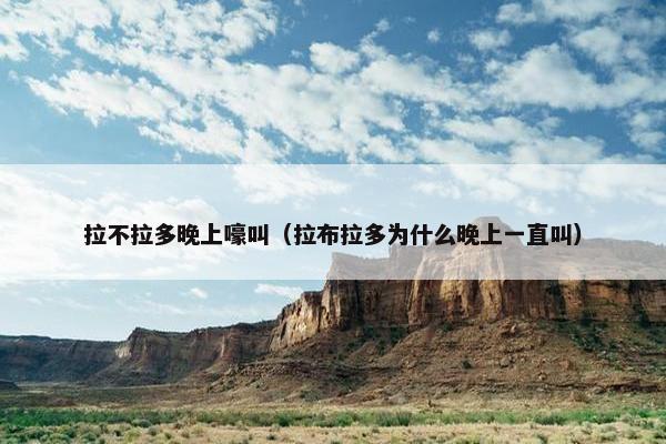 拉不拉多晚上嚎叫（拉布拉多为什么晚上一直叫）
