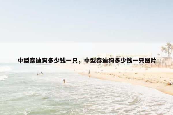 中型泰迪狗多少钱一只，中型泰迪狗多少钱一只图片