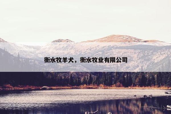 衡水牧羊犬，衡水牧业有限公司