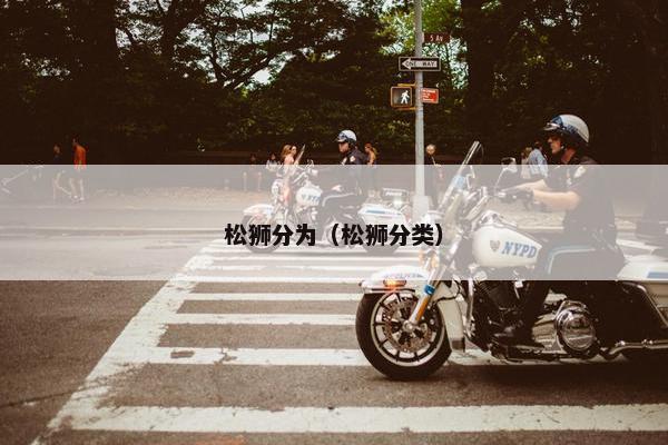 松狮分为（松狮分类）