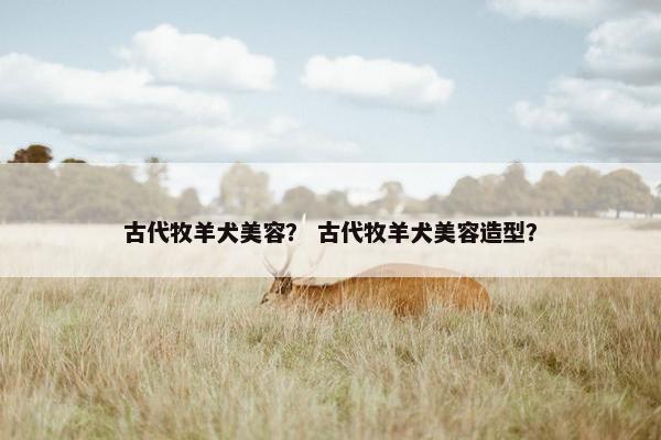 古代牧羊犬美容？ 古代牧羊犬美容造型？