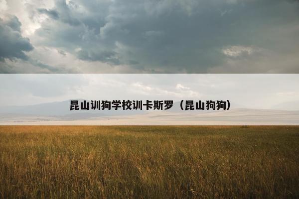 昆山训狗学校训卡斯罗（昆山狗狗）