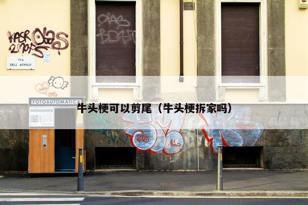 牛头梗可以剪尾（牛头梗拆家吗）