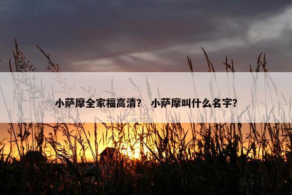 小萨摩全家福高清？ 小萨摩叫什么名字？