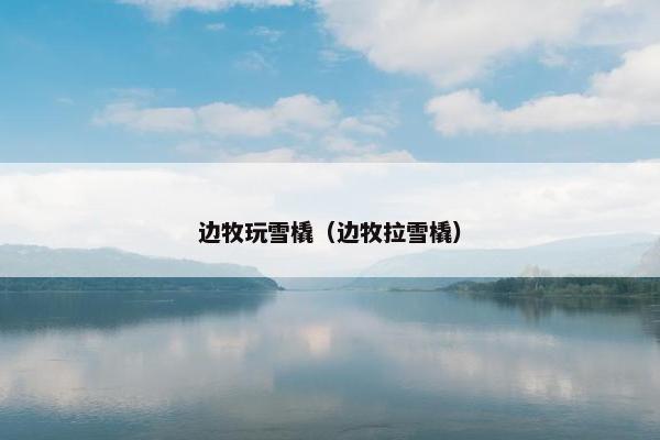 边牧玩雪橇（边牧拉雪橇）
