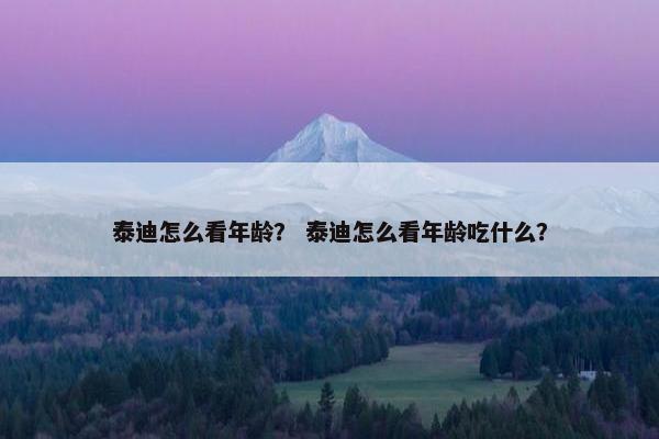 泰迪怎么看年龄？ 泰迪怎么看年龄吃什么？