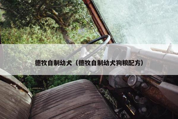 德牧自制幼犬（德牧自制幼犬狗粮配方）