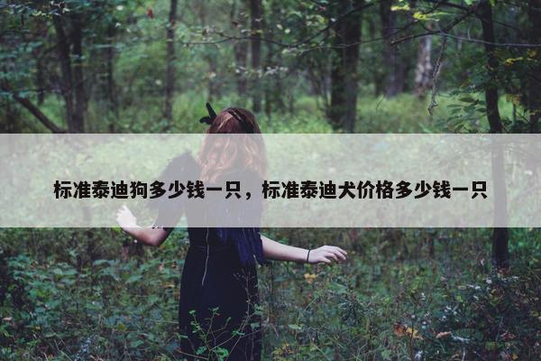 标准泰迪狗多少钱一只，标准泰迪犬价格多少钱一只