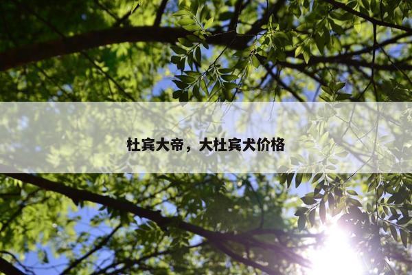热火