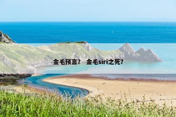 石狮子