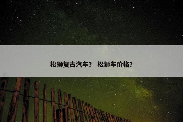 松狮复古汽车？ 松狮车价格？