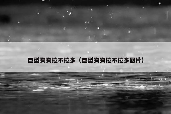 巨型狗狗拉不拉多（巨型狗狗拉不拉多图片）
