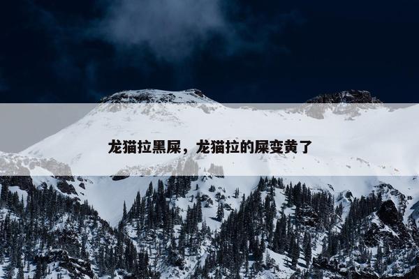 龙猫拉黑屎，龙猫拉的屎变黄了