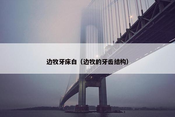 边牧牙床白（边牧的牙齿结构）