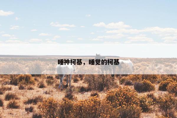 睡神柯基，睡觉的柯基