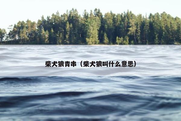 柴犬狼青串（柴犬狼叫什么意思）