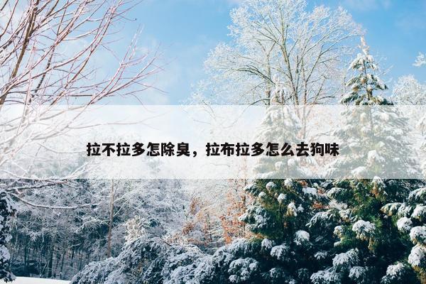 拉不拉多怎除臭，拉布拉多怎么去狗味