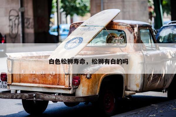白色松狮寿命，松狮有白的吗