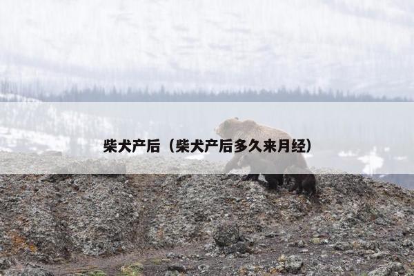 羊水