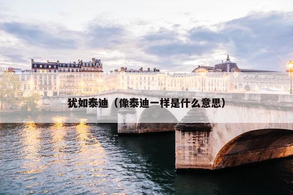 犹如泰迪（像泰迪一样是什么意思）