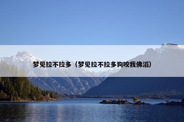 梦见拉不拉多（梦见拉不拉多狗咬我佛滔）