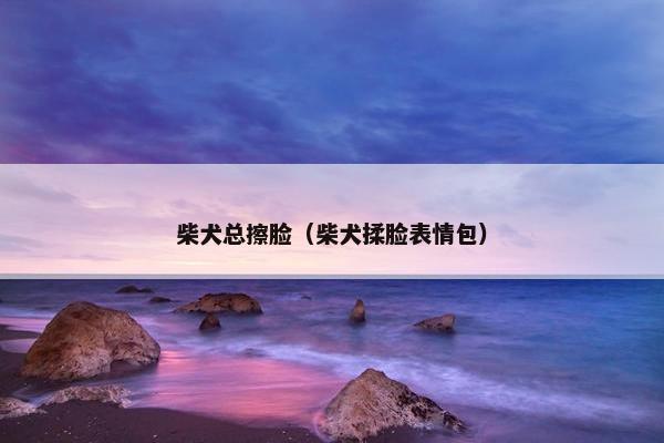 柴犬总擦脸（柴犬揉脸表情包）