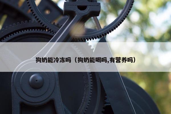 狗奶能冷冻吗（狗奶能喝吗,有营养吗）