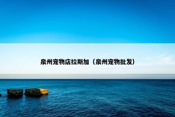泉州宠物店拉斯加（泉州宠物批发）