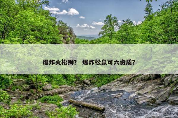 爆炸火松狮？ 爆炸松鼠可六资质？