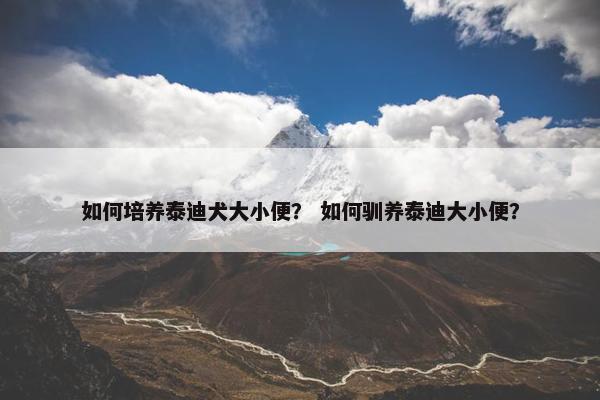 如何培养泰迪犬大小便？ 如何驯养泰迪大小便？