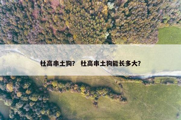 杜高串土狗？ 杜高串土狗能长多大？