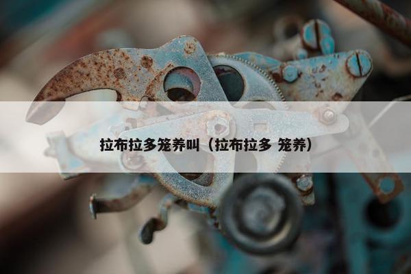 拉布拉多笼养叫（拉布拉多 笼养）