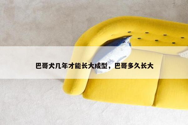 巴哥犬几年才能长大成型，巴哥多久长大