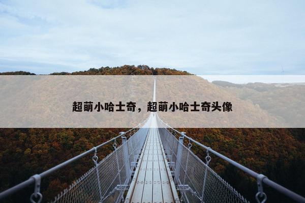 超萌小哈士奇，超萌小哈士奇头像