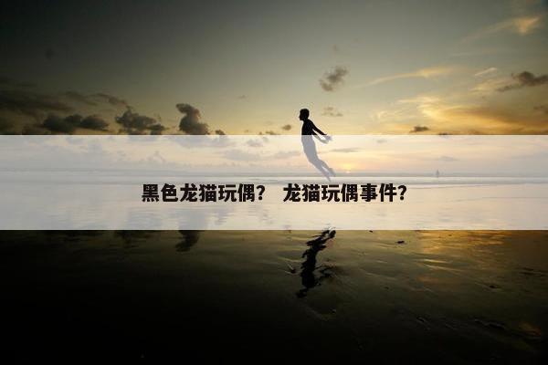 黑色龙猫玩偶？ 龙猫玩偶事件？