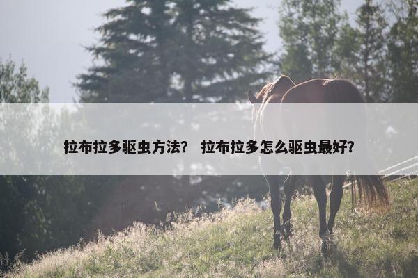 拉布拉多驱虫方法？ 拉布拉多怎么驱虫最好？