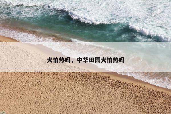 犬怕热吗，中华田园犬怕热吗
