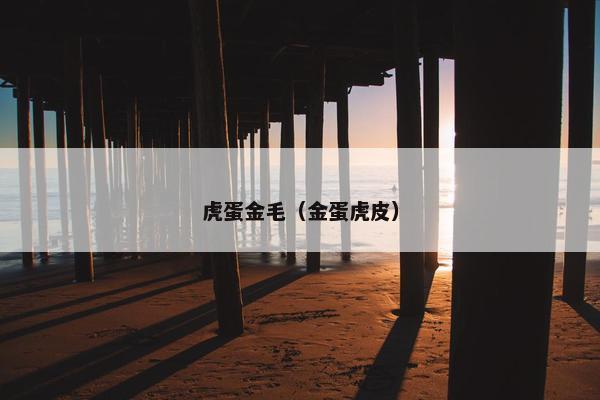 虎蛋金毛（金蛋虎皮）