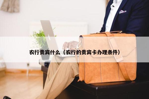 农行贵宾什么（农行的贵宾卡办理条件）