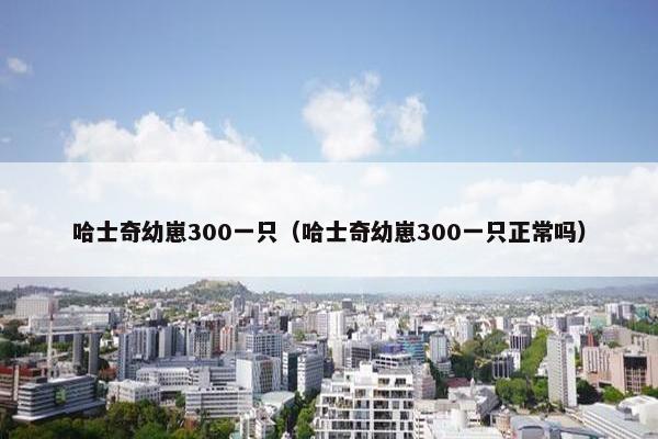 哈士奇幼崽300一只（哈士奇幼崽300一只正常吗）