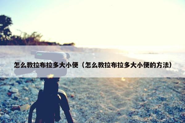 怎么教拉布拉多大小便（怎么教拉布拉多大小便的方法）