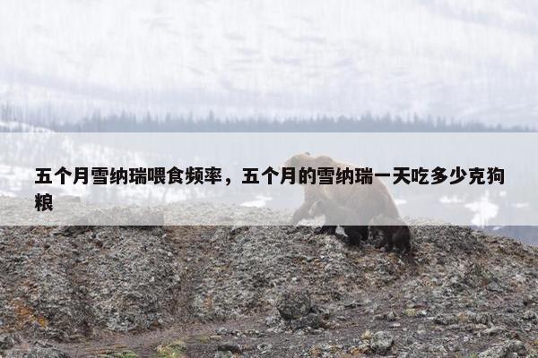 五个月雪纳瑞喂食频率，五个月的雪纳瑞一天吃多少克狗粮