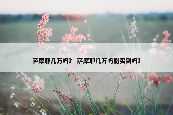 萨摩耶几万吗？ 萨摩耶几万吗能买到吗？