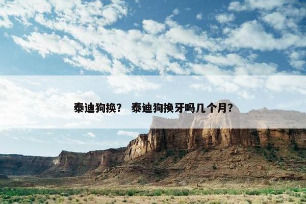 泰迪狗换？ 泰迪狗换牙吗几个月？