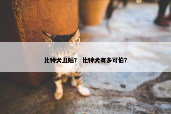 比特犬丑陋？ 比特犬有多可怕？