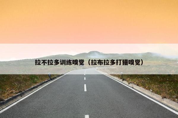 拉不拉多训练嗅觉（拉布拉多打猎嗅觉）
