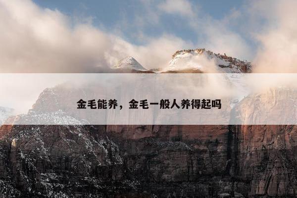 金毛能养，金毛一般人养得起吗